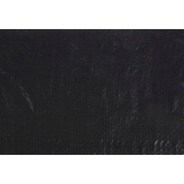 Dangtis sodo griliui