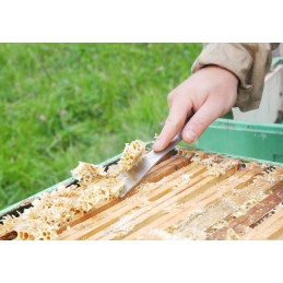 Bitininkystės kaltas