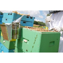 Bitininkystės kaltas