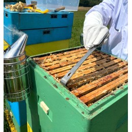 Bitininkystės kaltas