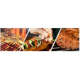 Turistinė kepsninė su anglimis, nešiojamas lagaminas, grotelės, puikiai tinka stovyklavimui