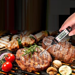 Kepsninės komplektas, grilio reikmenys, dėklas, 25 vnt