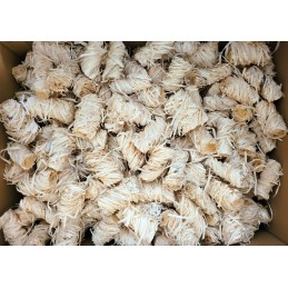 Ekologiškas kūrenimas, ekologiškas kūrenimas, grilis, židinys, židinys, 5 kg