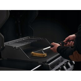 Napoleono trijų eilių grilio šepetys, žalvariniai šereliai, grotelių šepetys