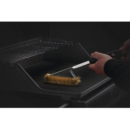 Napoleono trijų eilių grilio šepetys, žalvariniai šereliai, grotelių šepetys