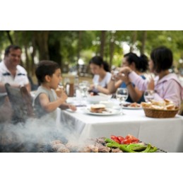 Elektrinis grilis skelbimas 6602/kr 6612