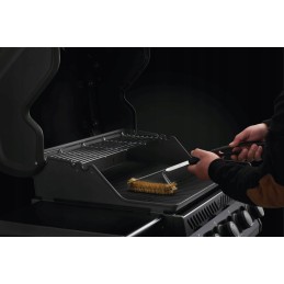 Napoleono grilio šepetys su žalvariniais šereliais