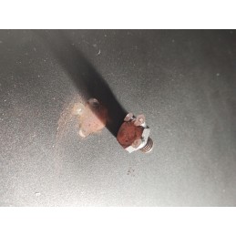 Didelis 60 cm skersmens sodo židinys