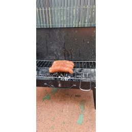 Turistinis grilio lagaminas