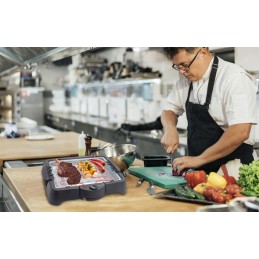 Techwood TBQ-816 stalo grilis