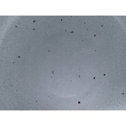 Emaliuotas katilas 14l