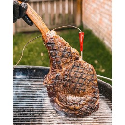 Grilleye Iris zondas grotelių termometrams