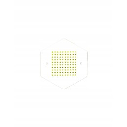 Lenkiški žalieji opalitai bičių motinėlėms 2024 m