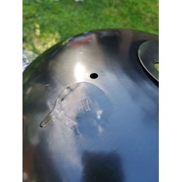 Anglies grilis su dangteliu