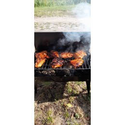 Lagaminas turistinis grilis, grotelės 43x23 gr9