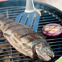 Weber Premium 6620 grilio mentelė