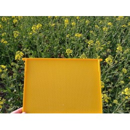 Siūlome plastikinį Hoffman rėmą iš Didžiosios Lenkijos!!!