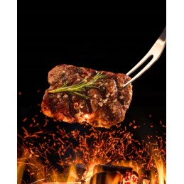 Grilio reikmenų rinkinys iš 9 stalo įrankių priedų, šakutės, mentelės ir plieninio peilio