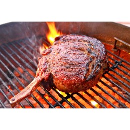 Vulkaninė lava dujiniam griliui