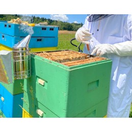 Bitininkystės kaltas