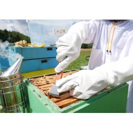 Bitininkystės kaltas