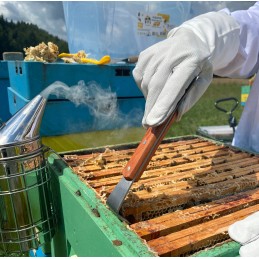 Bitininkystės kaltas