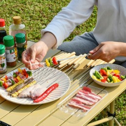 10 šašlyko grilio iešmelių su rankenomis rinkinys