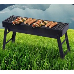 Sulankstomos turistinės anglies kepsninės TSW 60x22 5cm