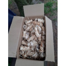 Feniks ekologiškas lengvesnis 2 kg