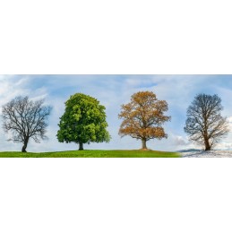 Dangtis grilio dangčiui XXL, atsparus vandeniui, tvirtas, atsparus, universalus