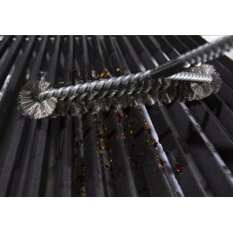 Platus broil karaliaus šepetys