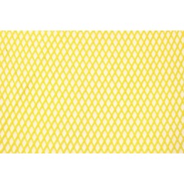 Siūlome tinklelį propoliui gaudyti - labai geras produktas!