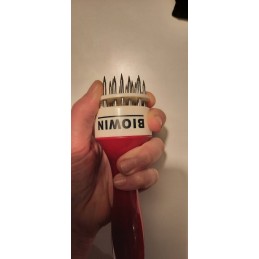 Rudos spalvos mėsos auskaras