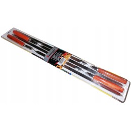 Mastergrill iešmelių rinkinys, 4 vnt, ilgis 60 cm mg134