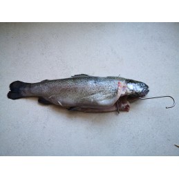 Trigubi žuvies rūkymo kabliukai su barstytuvu, ilgis 21cm, storis 3mm, rinkinyje 5 vnt.