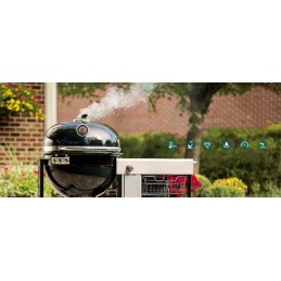 Smokehouse BBQ grilio termometras nuo 10 iki 450 °C 70 mm zondas, nuimamas kietas