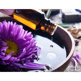 Grill pro - aliejaus purkštuvas