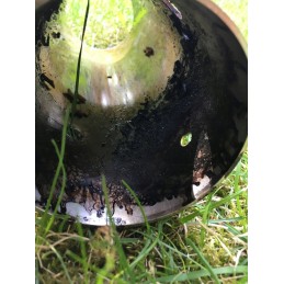 Biologiškai skaidus preparatas su purkštuvu