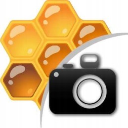 Mėlynas žymeklis bičių motinėlėms žymėti