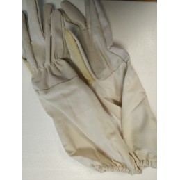 Galimas dydis: universalus