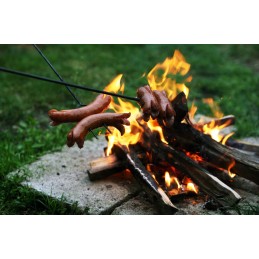 Šakės, nerūdijančio plieno ugnies lazdos, 100 vnt., 10 vnt