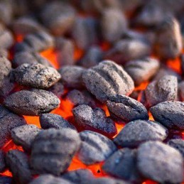 2in1 žnyplės maistui ir briketams (anglis)