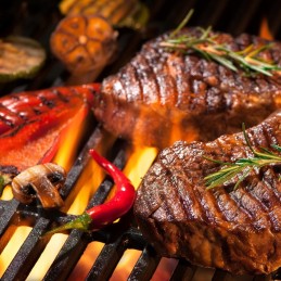 2in1 žnyplės maistui ir briketams (anglis)