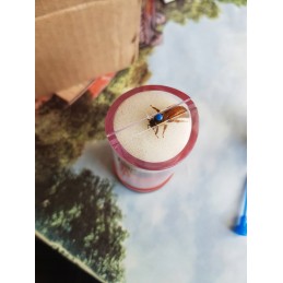 Prietaisas mamų žymėjimui – reguliuojamas kūginis