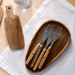 Lengvų kepsnių šakučių rinkinys kepsniams, 4 vnt