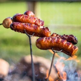 10 x grilio šakutės