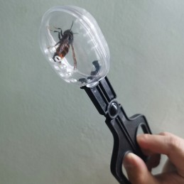 Žnyplės bičių motinai gaudyti