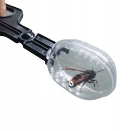 Žnyplės bičių motinai gaudyti