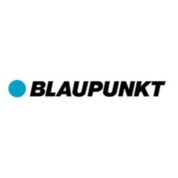 GCA01 blaupunkt anglimi kūrenantis kaminas