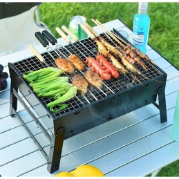 Sodo kepsninė su anglimis, kelioninė, nešiojama, sulankstoma, lagaminas